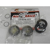 SWINGARM BEARING KIT